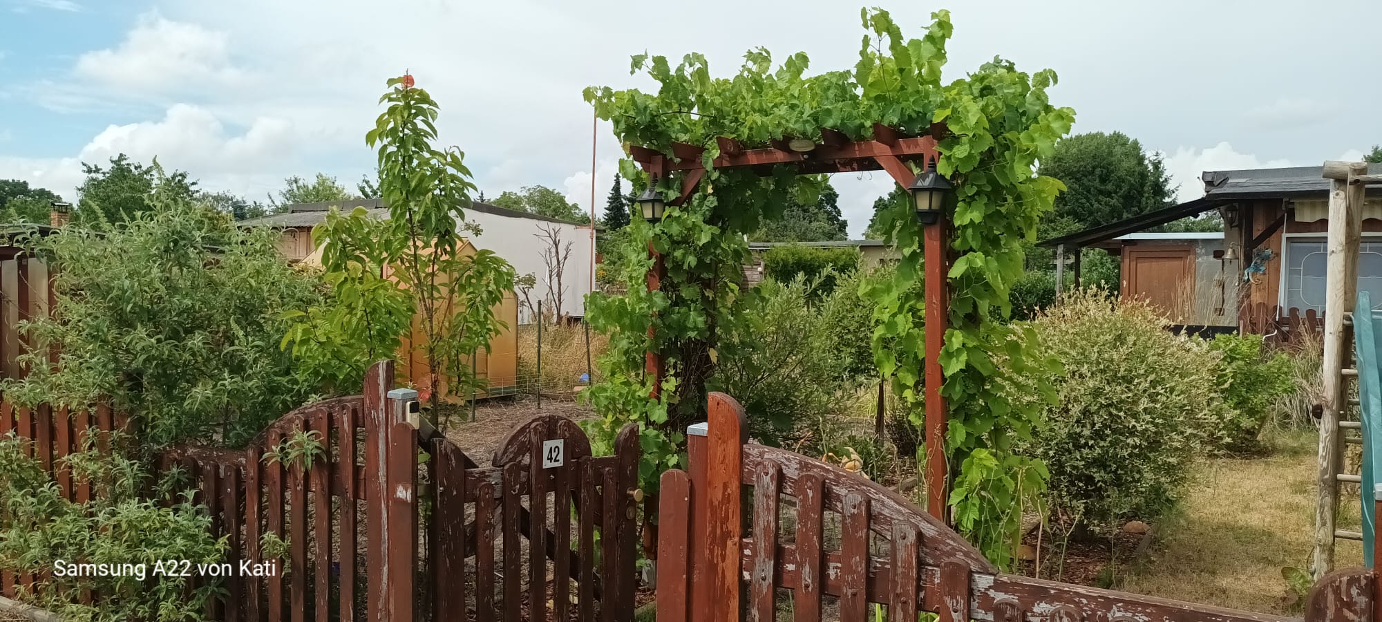 Gartenfoto