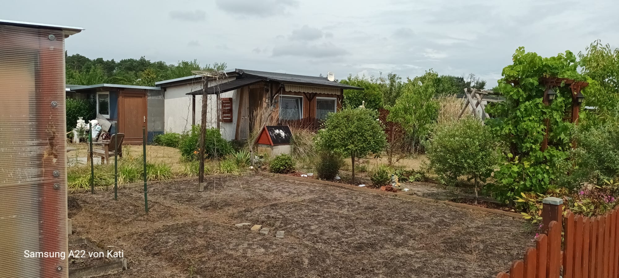 Gartenfoto