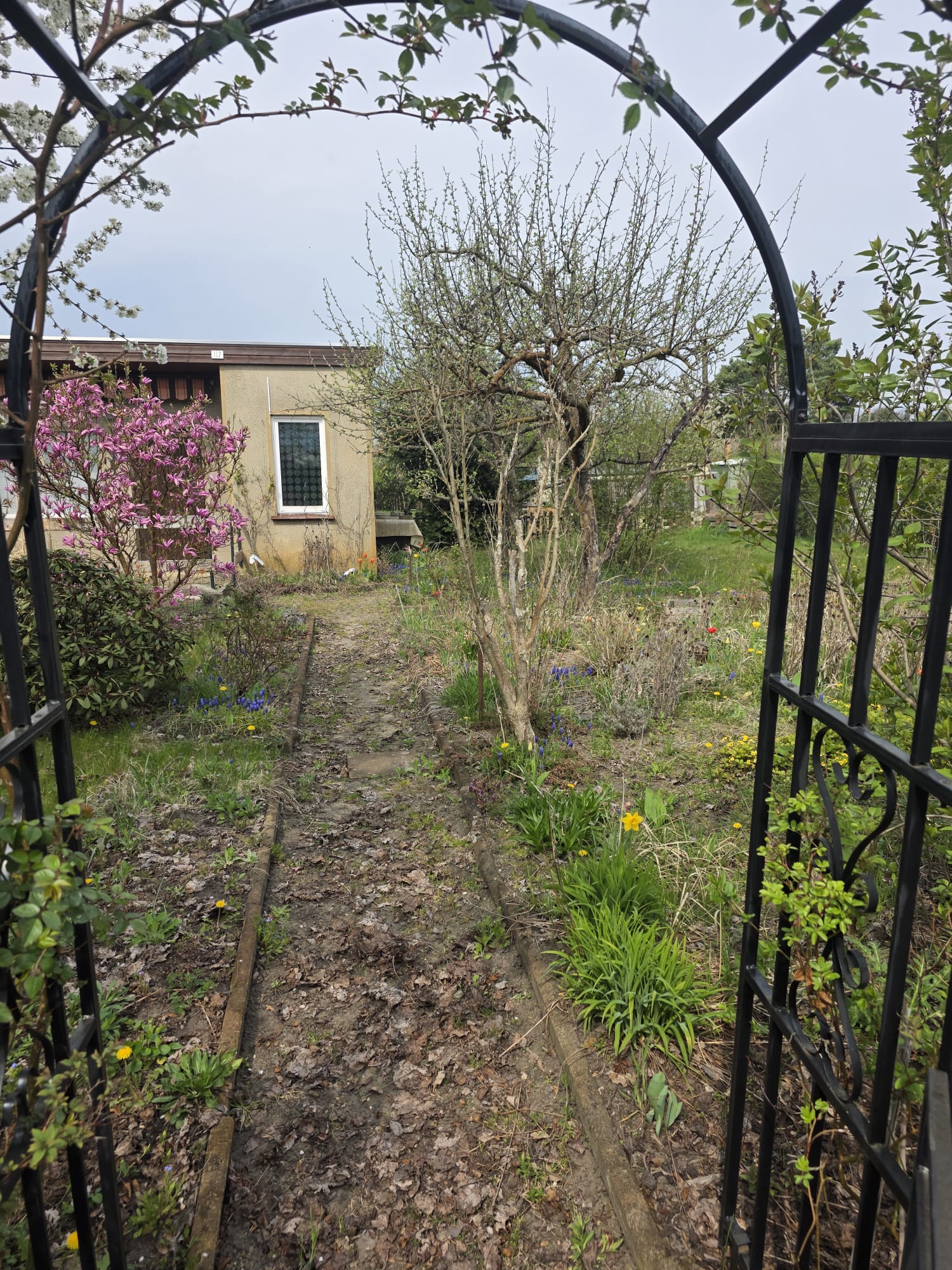 Garten 117