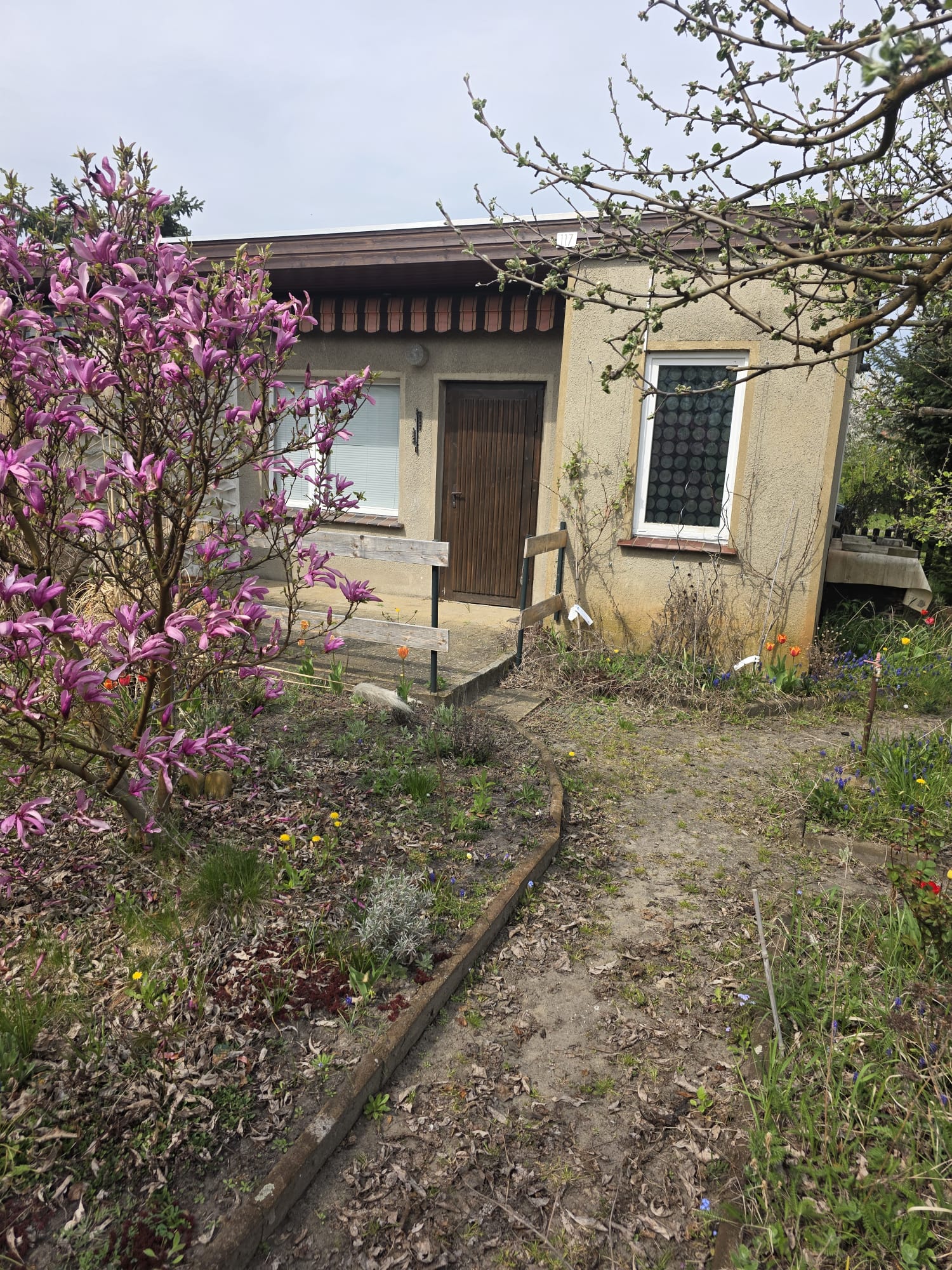 Gartenfoto