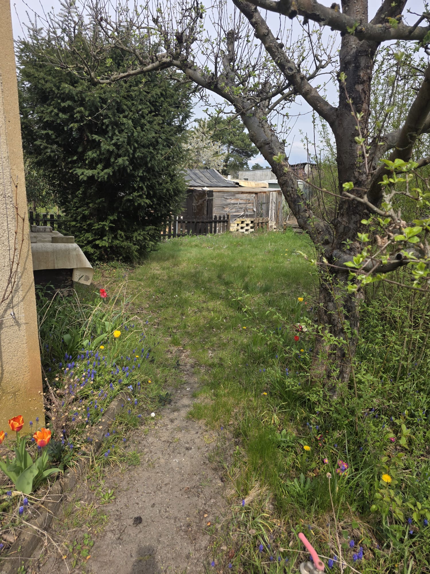 Gartenfoto